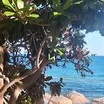 Pecani Perla Del Mar - Coastal Art * Sveti Vlas