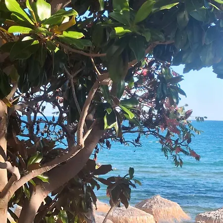 Pecani Perla Del Mar - Coastal Art Residence, Marina Dinevi Etara 1 * سفيتي فلاس