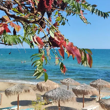 شقة Pecani Perla Del Mar - Coastal Art Residence, Marina Dinevi Etara 1 سفيتي فلاس