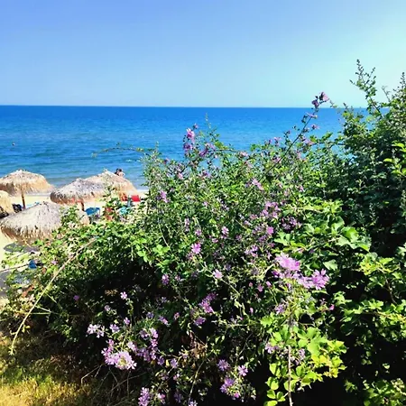 Pecani Perla Del Mar - Coastal Art Residence, Marina Dinevi Etara 1 شقة