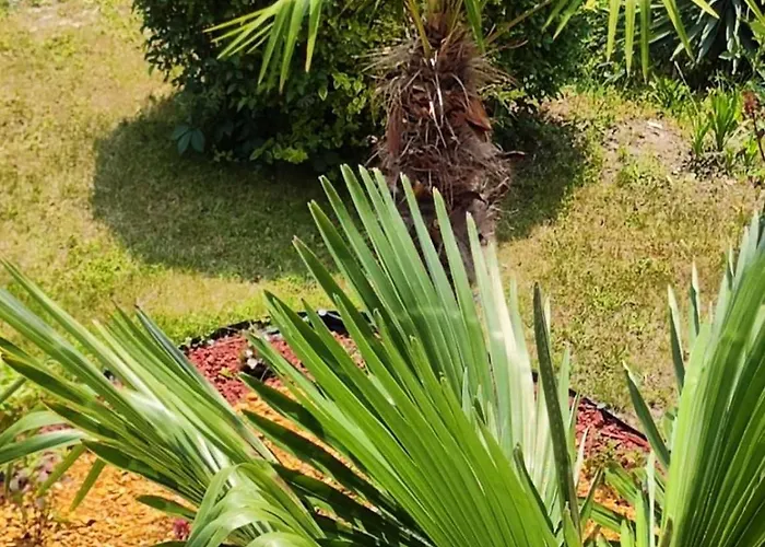 Pecani Perla Del Mar - Coastal Art Свети-Влас