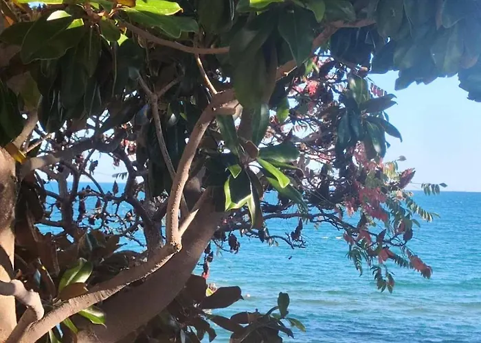 Pecani Perla Del Mar - Coastal Art * Свети-Влас