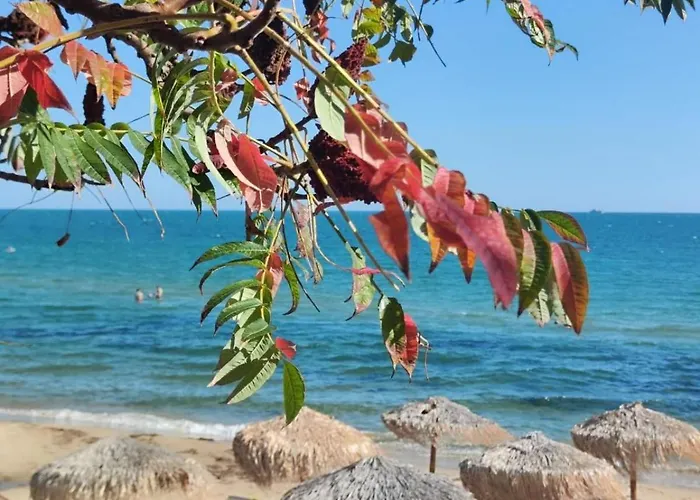 Апартаменты Pecani Perla Del Mar - Coastal Art Свети-Влас