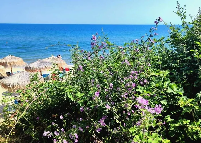 Pecani Perla Del Mar - Coastal Art Апартаменты